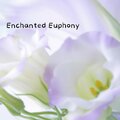 Electronix - Enchanted Euphony