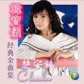 楚安林 - 失落的爱情