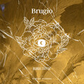 Brugio - Mumbai Trippin' (Radio Edit)