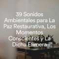 Zen Ambiance D'eau Calme、Les Voies de la Relaxation - Musique Pour Dormir Profondément