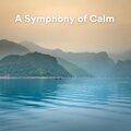 A Symphony of Calm