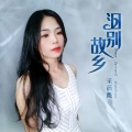 泪别故乡 (女声版)