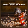 Música Com Sons Da Natureza De IMG Library - MUSICA AMBIENTE PARA RELAXAR E DESCANSAR