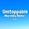 Kayhin - Unstoppable (Marimba Version)