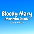 Kayhin - Bloody Mary (Marimba Version)