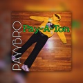 PAYYBRO、JerseyMadeJ - SE. (feat. JerseyMadeJ) (Explicit)