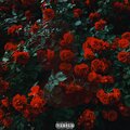 Tom Sav - Mud Brothers (Explicit)