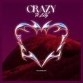 Crazy (feat. ŁuVy) [Explicit]