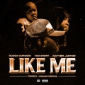 Like Me (Explicit)