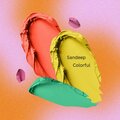 Sandeep、Sandeep Chaliya - Colorful