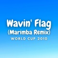 Kayhin - Wavin' Flag (Marimba Version)