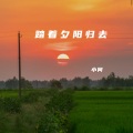 踏着夕阳归去