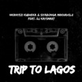 Trip To Lagos