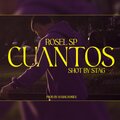 Rosel SP - CUANTOS