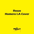 Music Factory - Rosas