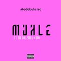 Madabula Rsa、the don、Zinhle - Muhle (feat. The DonZinhle & Divo)(Explicit)
