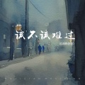 该不该难过 (0.8降速版)