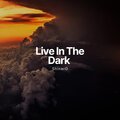 ShinerD、3HardSøsa - Live In The Dark (feat. 3HardSøsa)(Live|Explicit)