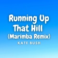 Kayhin - Running Up That Hill (Marimba Version)