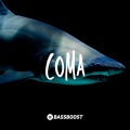 Bass Boost、Vital EDM - Coma