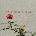 刘世研 - 有没有人爱你