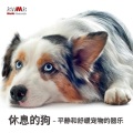 RW 一只无忧无虑的狗 - 打鼾的狗
