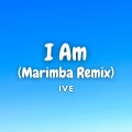 Kayhin - I Am (Marimba Version)
