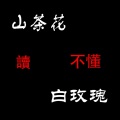 山茶花读不懂白玫瑰