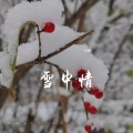 雪中情