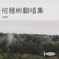 何雅彬 - Cry