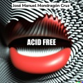 José Manuel Mondragón Cruz - Acid Free