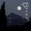 弥酒 - 你不明白