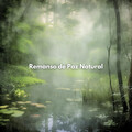 Remanso de Paz Natural