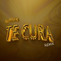 dj roman - Te Cura (Remix)
