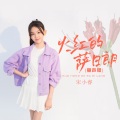 宋小睿 - 火红的萨日朗