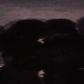 Argento - saveroom#file0 (Explicit)