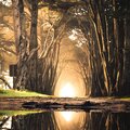 PEACEFUL VIBES - Zen Garden