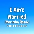 Kayhin - I Ain't Worried (Marimba Version)
