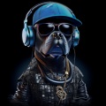 nhumAnE、Phonk 808、Dyan Dxddy - Phonk Cheri Cheri Dog