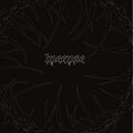 INCENSE - Clearless