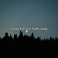 Crickets Concert at Night to Sleep