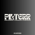 PILTERR