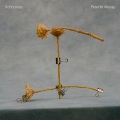 Peter M. Murray - In the Den