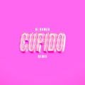 dj roman - Cupido (Remix)
