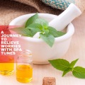 Liquid Ambiance、Ambient 11 - Calm Mantra