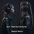 Bagiyev - Right Now (Na Na Na)(Remix|Special Version)