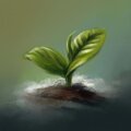 New Beginnings