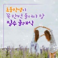 루카스 김 - Mozart - Le Nozze Di Figaro K.492 - Overture