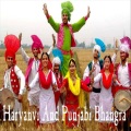 Haryanvi and Punjabi Bhangra (Live)