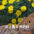 苏姐 - 当初不该认识你
